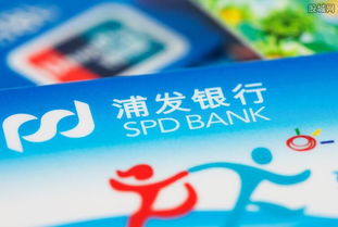 浦發新片區分行正式揭牌 更好服務上海自貿區建設