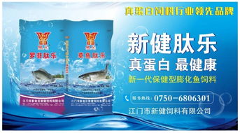 2019年巴沙魚繼續火爆 有人一次性下了數千萬的訂單